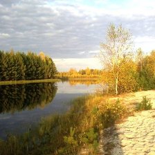 Схема вышивки «Слон и моська»