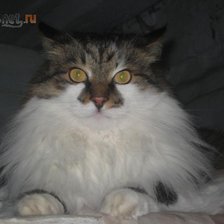 Схема вышивки «Стёпка на печке»