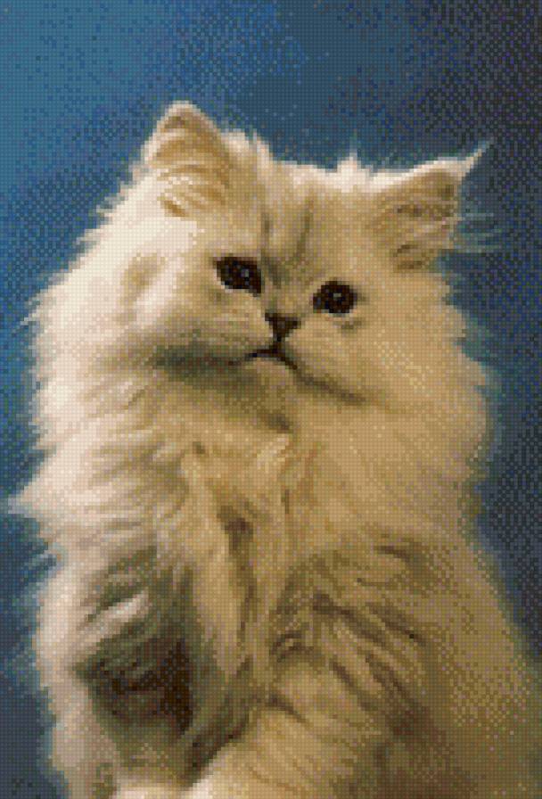 Пушистик - кот, кошка, животные, котенок - предпросмотр