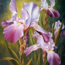 Схема вышивки «Розовые ирисы»