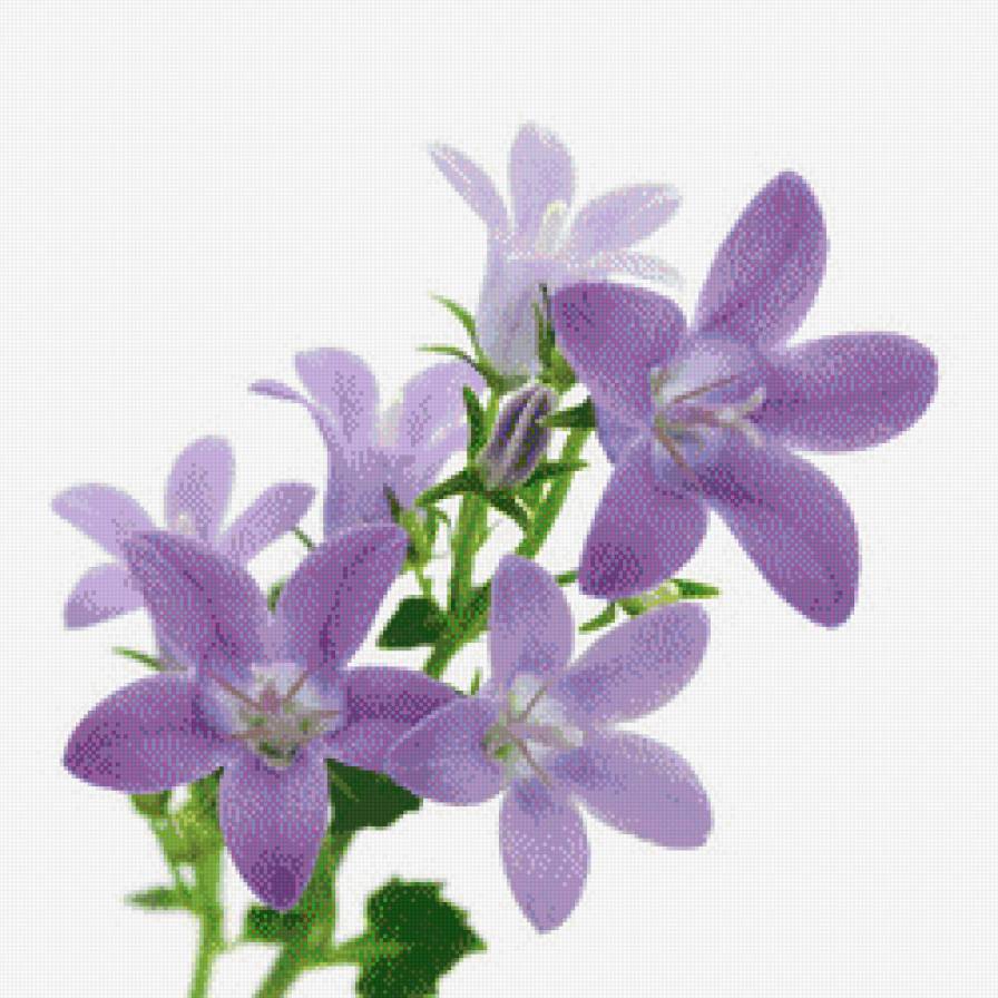 триптих весна (середина) - цветы, весна, триптих - предпросмотр