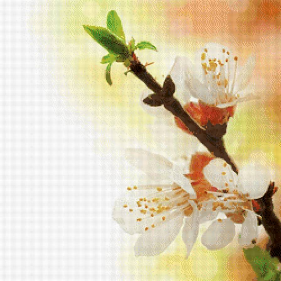 триптих весна (правая часть) - триптих, цветы, весна - предпросмотр