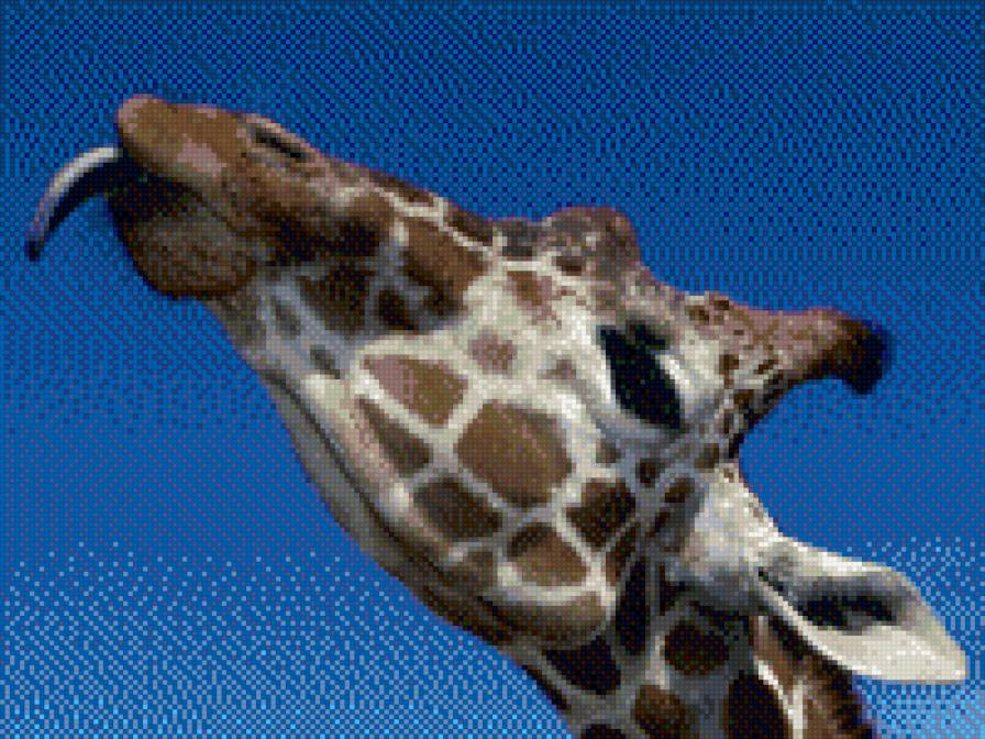 жираф - предпросмотр