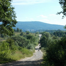 Схема вышивки «Пейзаж»