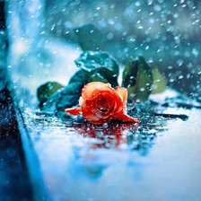 Схема вышивки «Роза»