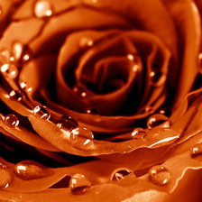 Схема вышивки «№711309»