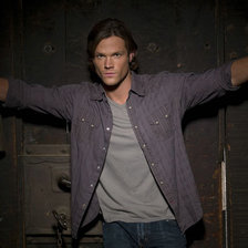 Схема вышивки «Сэм»