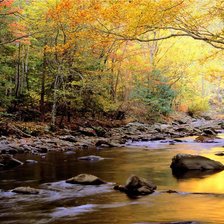 Схема вышивки «красота»