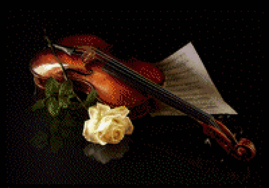 №711577 - цветы, розы, натюрморт, скрипка - предпросмотр