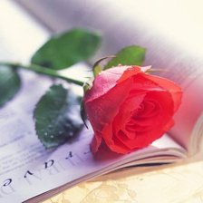 Схема вышивки «№711635»