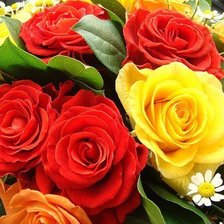 Схема вышивки «№711687»