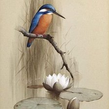 Схема вышивки «птица»