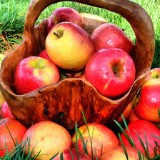 Схема вышивки «Наливные яблочки»