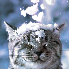 Схема вышивки «зимняя киса»