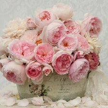 Схема вышивки «Нежность 3»