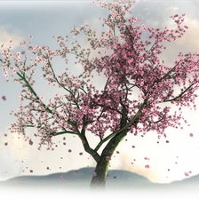 Схема вышивки «Сакура цветет»