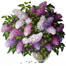 Букет сирени 2