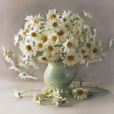 Схема вышивки «Ромашки»