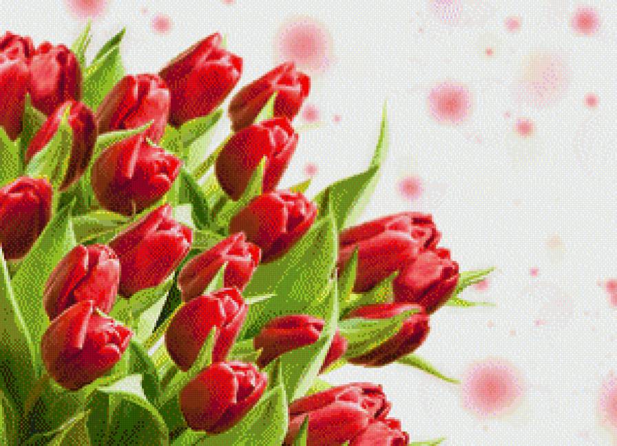Тюльпаны - тюльпаны, букет, цветы - предпросмотр