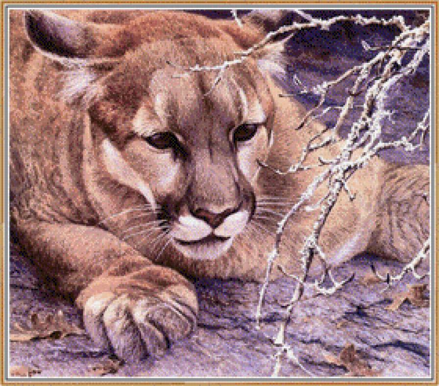 дикая кошечка - предпросмотр