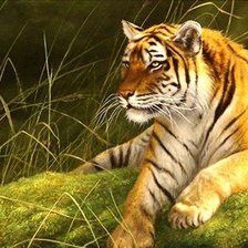 Схема вышивки «№712125»