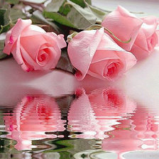 Схема вышивки «розы»