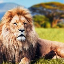 Схема вышивки «Царь ЛЕВ»