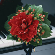 Схема вышивки «Рояль»