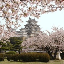 Схема вышивки «японские мотивы»