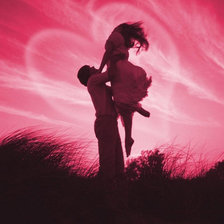 Схема вышивки «Розовий рай»