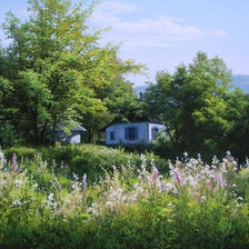 Схема вышивки «Деревенский мотив 12»