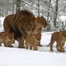 Схема вышивки «№712483»