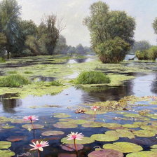 Тихий пруд 2