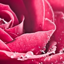 Схема вышивки «№712518»