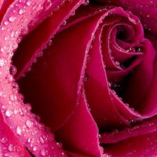 Схема вышивки «№712523»