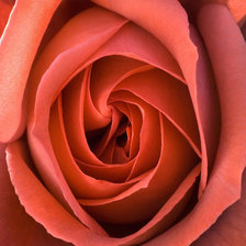 Схема вышивки «№712526»