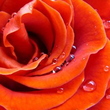 Схема вышивки «№712530»