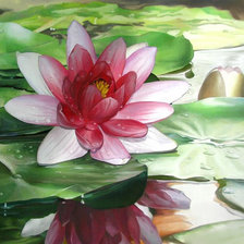 Схема вышивки «Лотос 3»