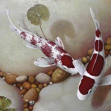 Схема вышивки «японские карпы»