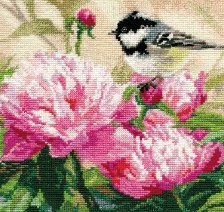 синичка и пионы