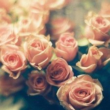 Схема вышивки «№712645»