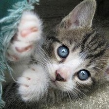 Схема вышивки «№712652»