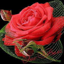 Схема вышивки «цветы»