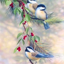 Схема вышивки «птахи»