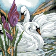 Схема вышивки «Идеальная пара»