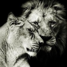 Схема вышивки «любовь»