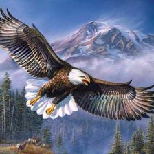 Схема вышивки «гордая птица»