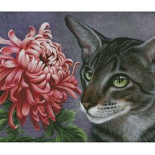 Схема вышивки «серия ,,кошки"»