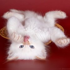 Схема вышивки «№713049»