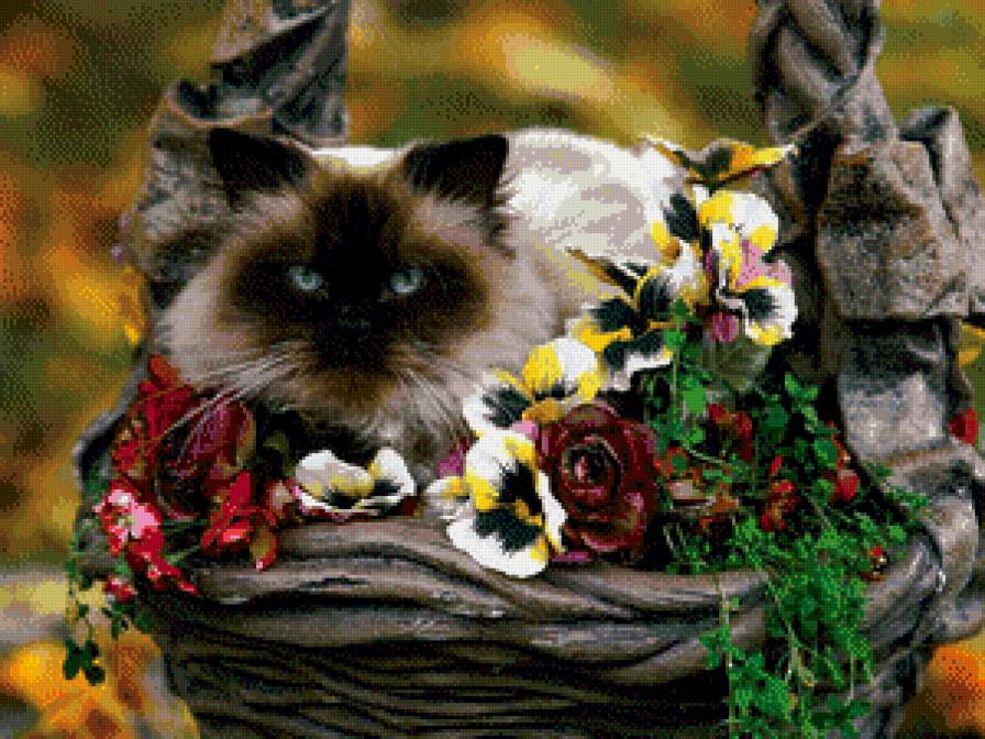 №713067 - котики - предпросмотр